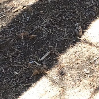 XXX Video aurinkoinen Leion