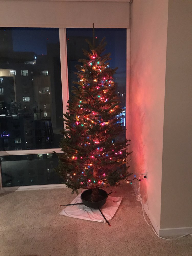 mr jingle s christmas trees 15 reviews christmas trees 1860 mr jingle s christmas trees 15 reviews christmas trees 1860 6th ave san diego ca phone number yelp