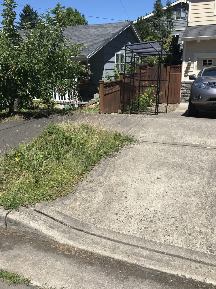 Good Green Neighbors