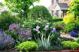 Mt Tam Gardener