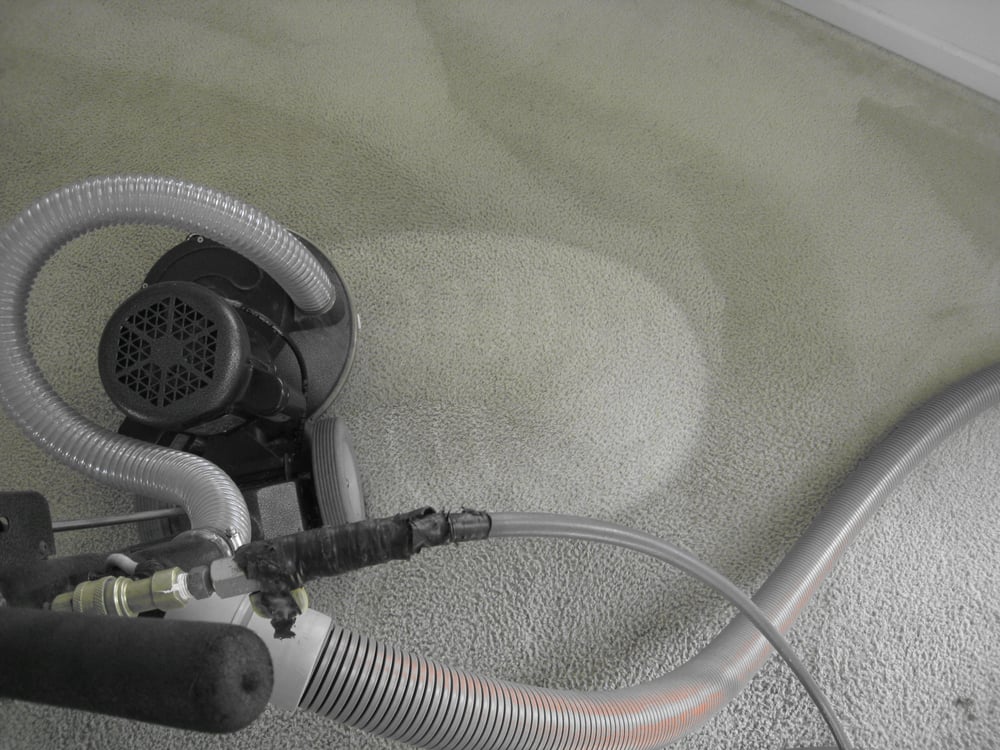 Johnson Carpet Care