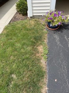 McKinney Landscaping Corporation