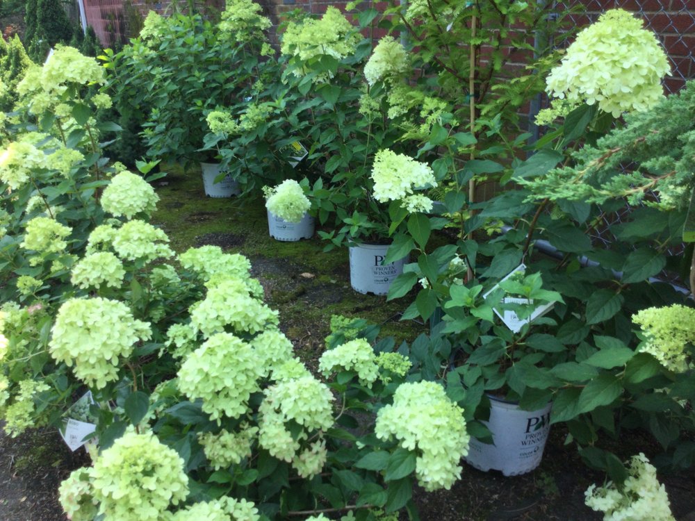 Bell Nurseries