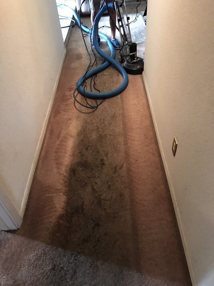 Bob Wells Carpet Cleaning 20 Photos & 25 Reviews Carpet Cleaning