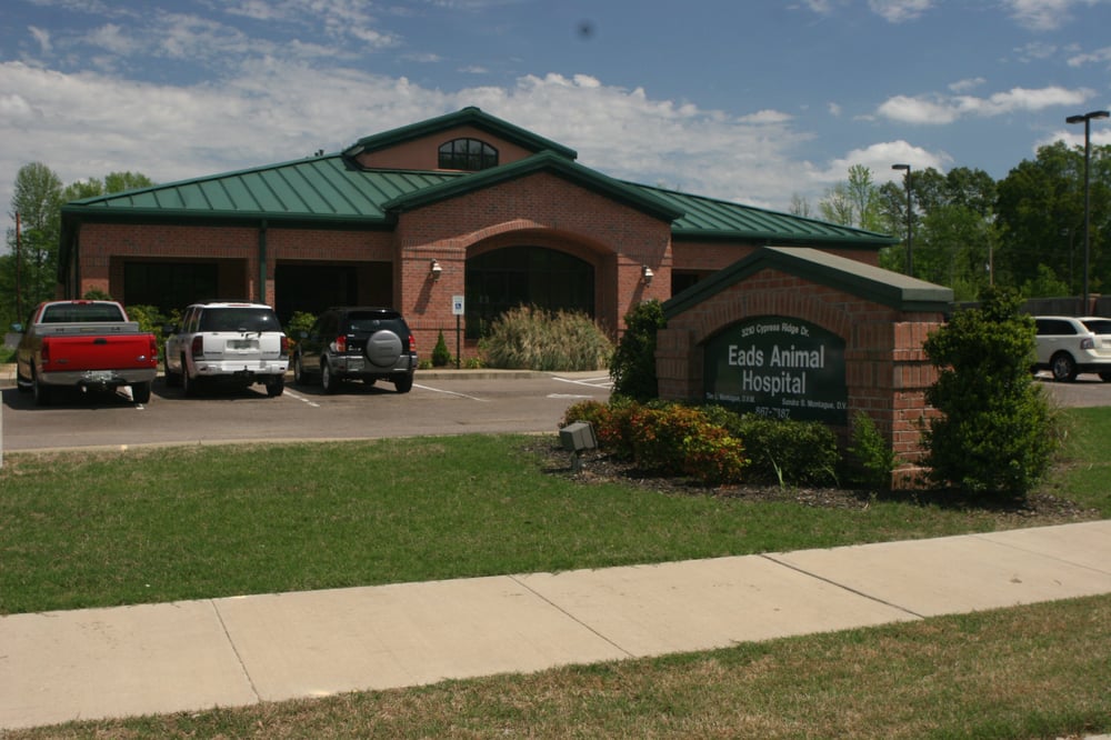 VCA Eads Animal Hospital Veterinarians 3210 Cypress