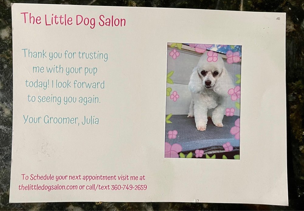 The Little Dog Salon