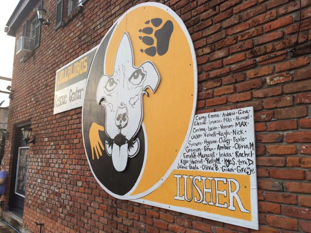 villalobos rescue sign on the front wall of the vrc building apparently done by a bunch of lusher villalobos rescue sign on the front wall of the vrc building apparently done by a bunch of lusher