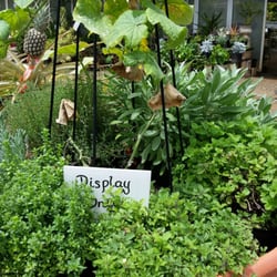 Kauai Nursery Landscaping 14 Photos 16 Reviews Nurseries Photo Of Kauai Nursery Landscaping Lihue Hi United States