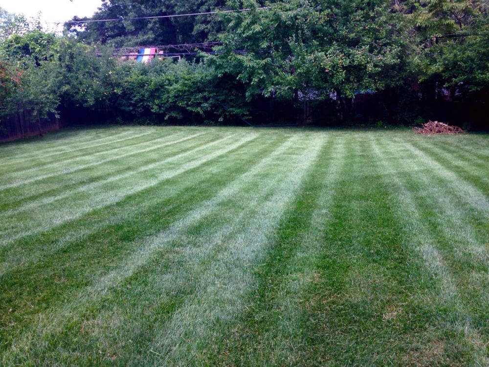 Dependable Lawn Care