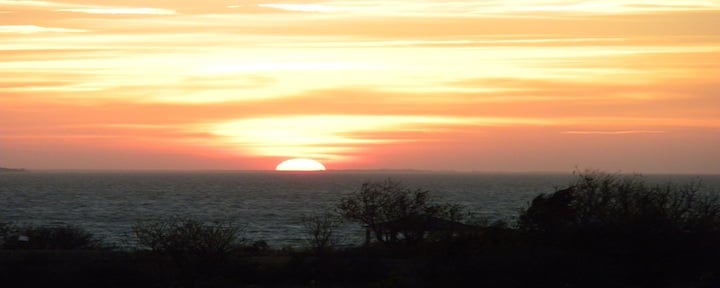 Coastal Outer Banks Realty