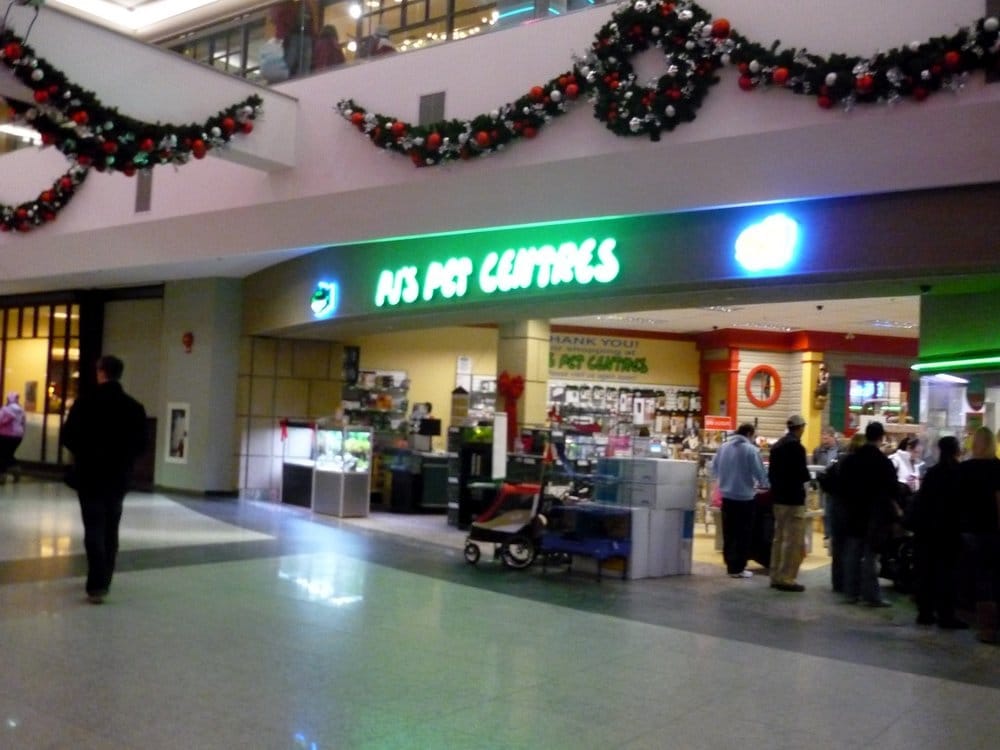 pj s pets pet shops 8882 170 st edmonton ab canada pj s pets pet shops 8882 170 st edmonton ab canada