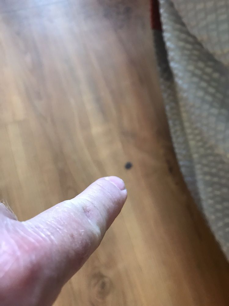 O