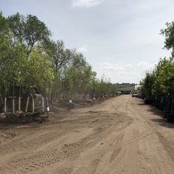 Harding Nursery 21 Photos 12 Reviews Nurseries Gardening Photo Of Harding Nursery Colorado Springs Co United States
