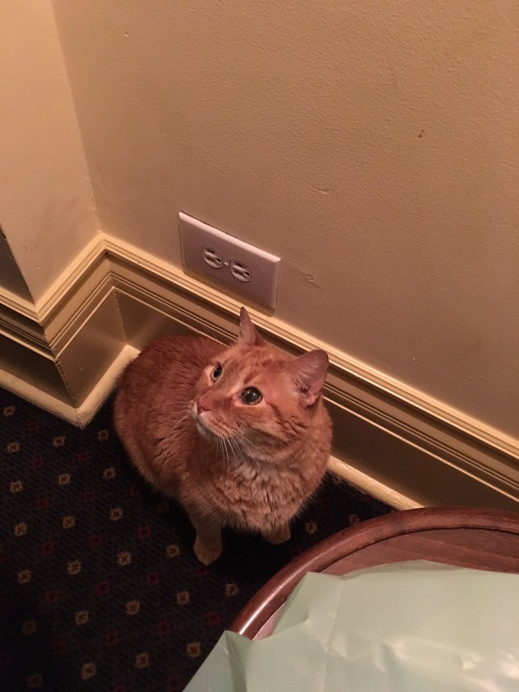 O