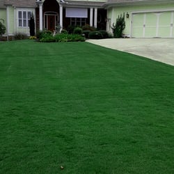 Green Earth Tree And Turf Care Landscaping 3806 N Peachtree Rd Photo Of Green Earth Tree And Turf Care Atlanta Ga United States
