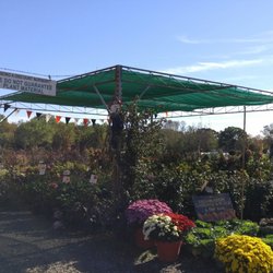 Countryview Farm Nursery Nurseries Gardening 599 Buckelew Photo Of Countryview Farm Nursery Monroe Township Nj United States Some Nice