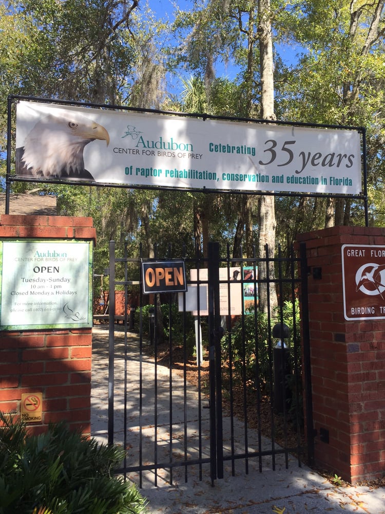 Audubon Center For Birds Of Prey 36 Photos 14 Reviews Animal