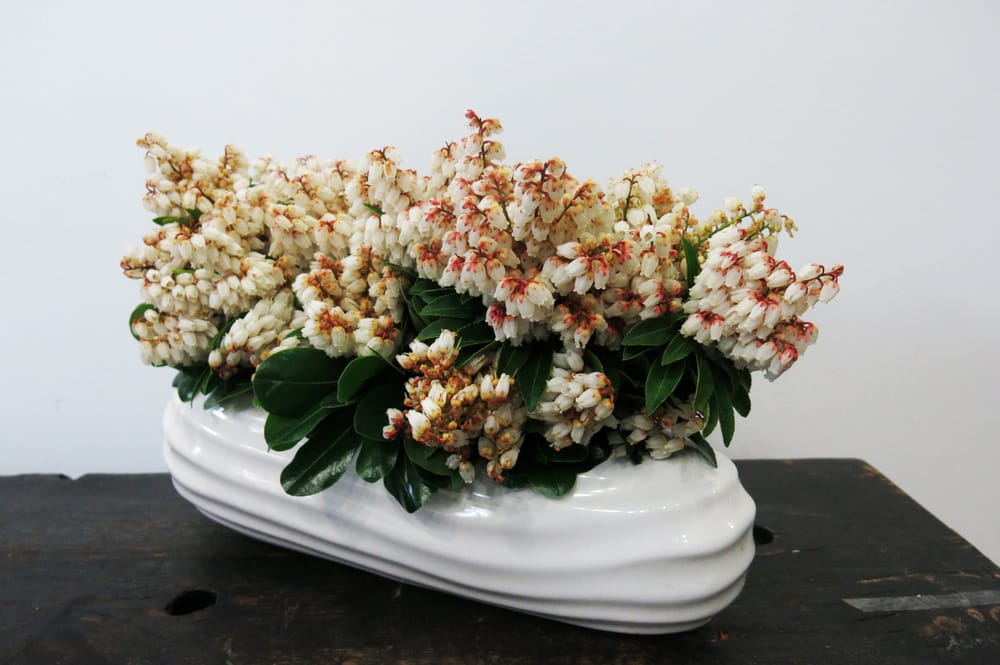 Linden Grove Floral Studio