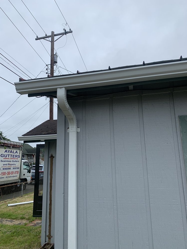 Ayala Gutters