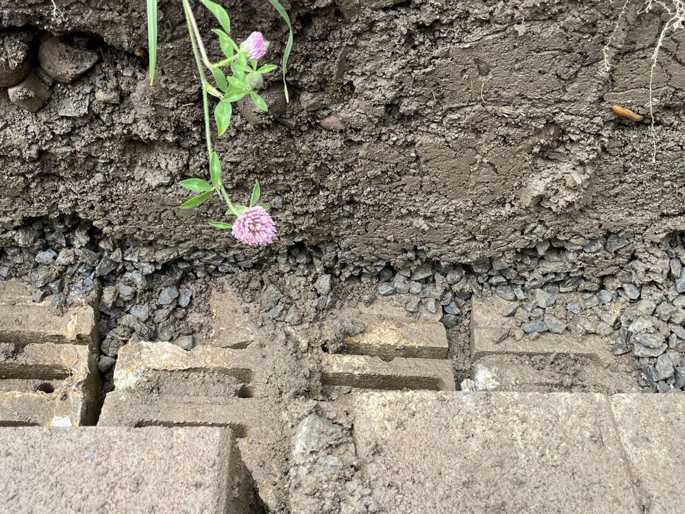 Borek's Concrete