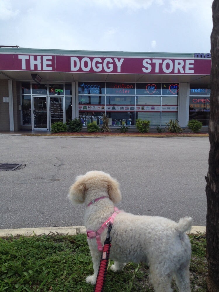 The Doggy Store CLOSED 17 Reviews Pet Stores 917 N Federal Hwy