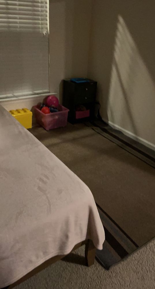 Bloomies Lawn And Cleaning