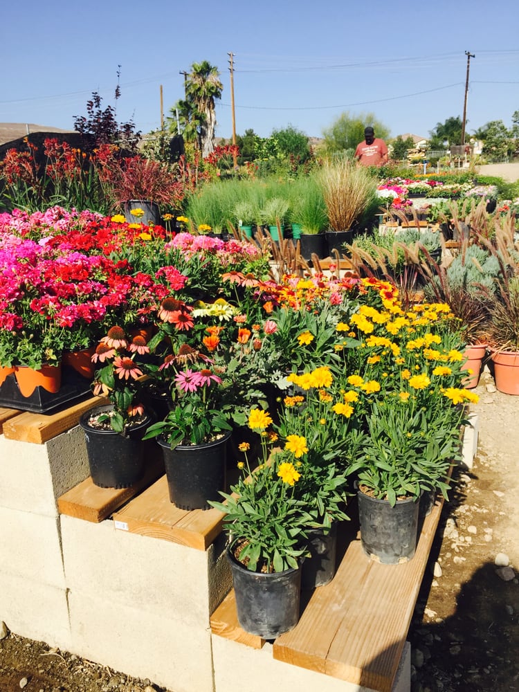 Greenland Nursery Nurseries & Gardening 2601 Valencia Ave Brea