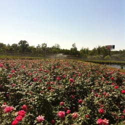 The Best 10 Nurseries Gardening Near Hahira Ga 31632 Last Hahira Nursery