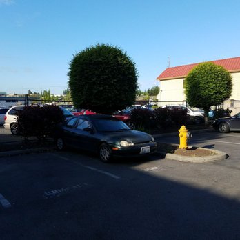 Americas Best Value Airport Inn 39 Photos 82 Reviews Hotels Photo Of Americas Best Value Airport Inn Seatac Wa United States Obviously