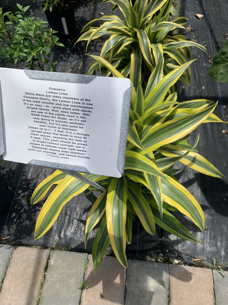 Scott's Landscape Nursery