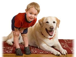 AAmerican Cleaning Bob's