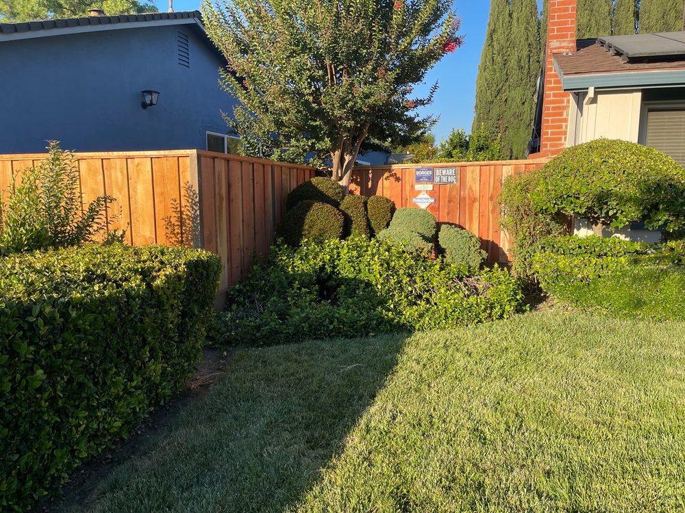Avilas Fence