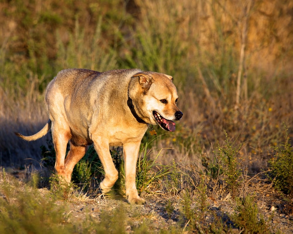 Oyster Bay Regional Shoreline 188 Photos & 68 Reviews Parks North
