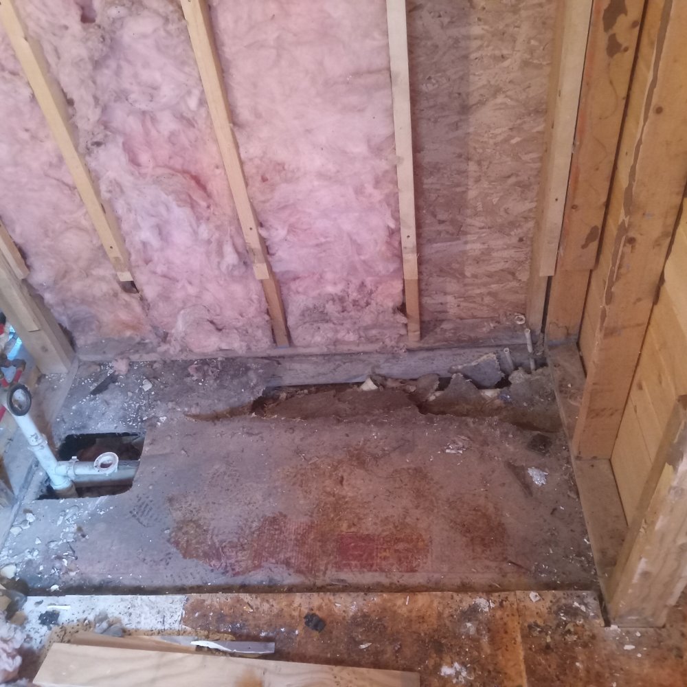 Diligent Structural Renovations