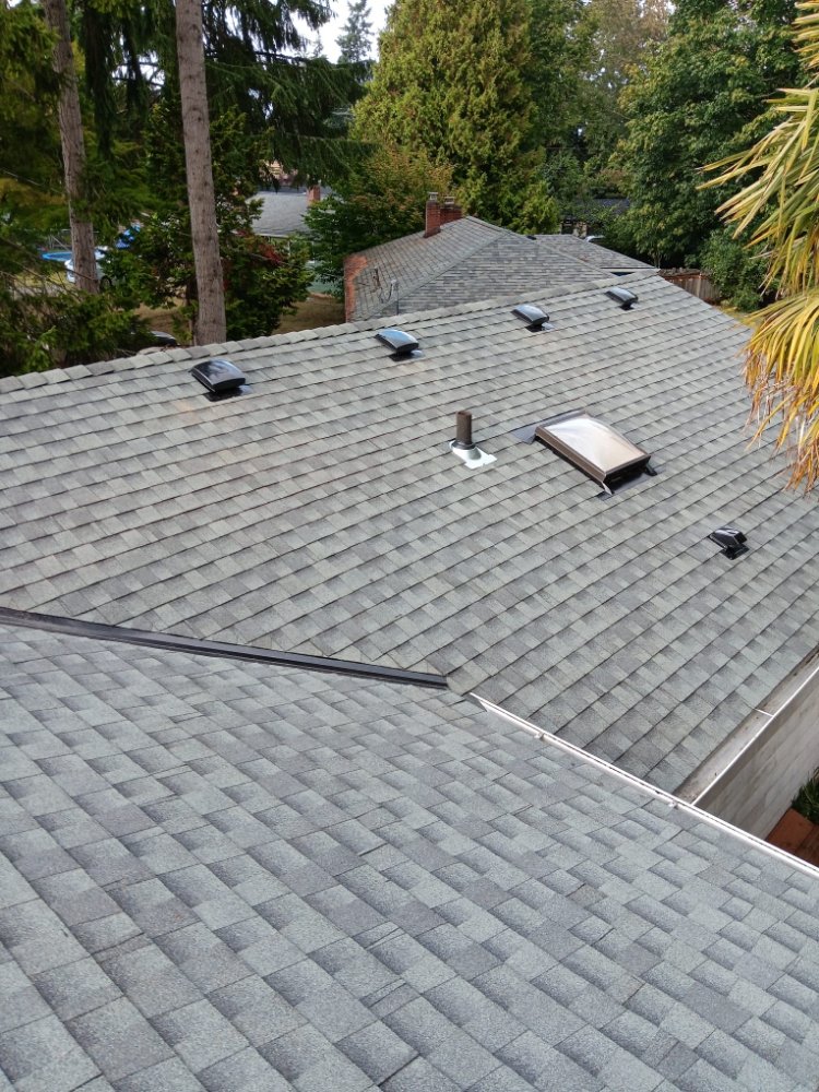 Gonzalez Roofing