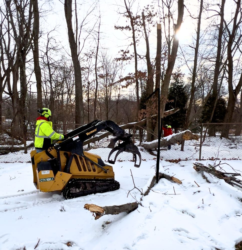 Rich Tree Service