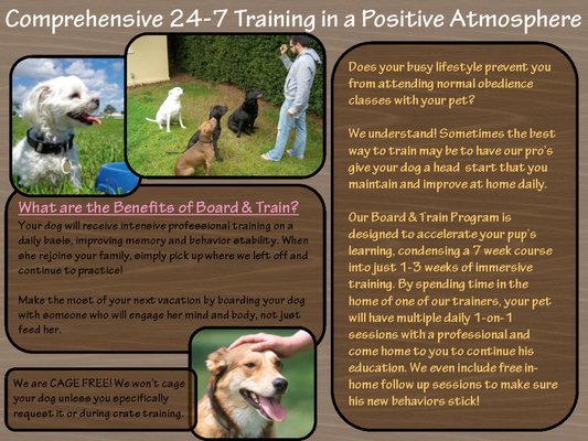 Karma Dog Training San Antonio Karma Dog Training San Antonio
