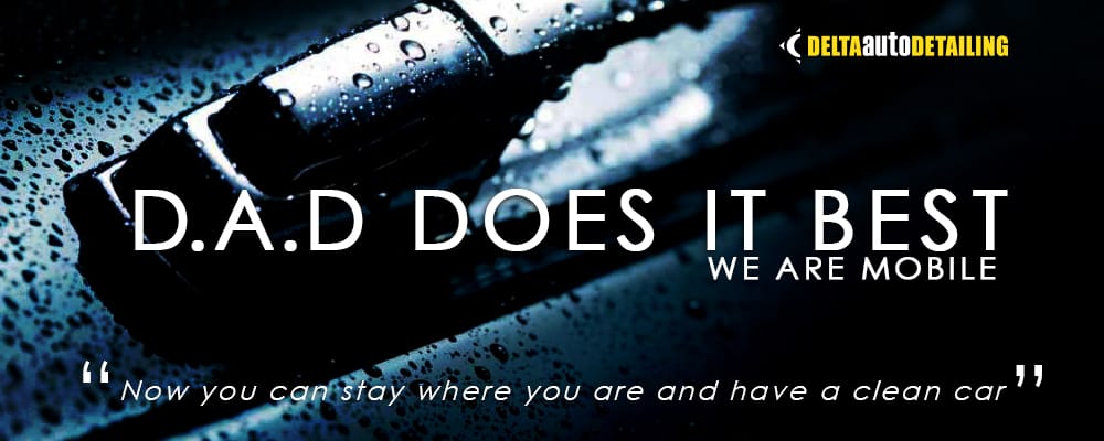 Delta Auto Detailing