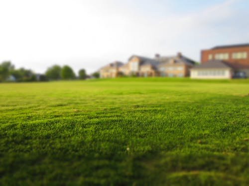 JP Ventura Landscaping
