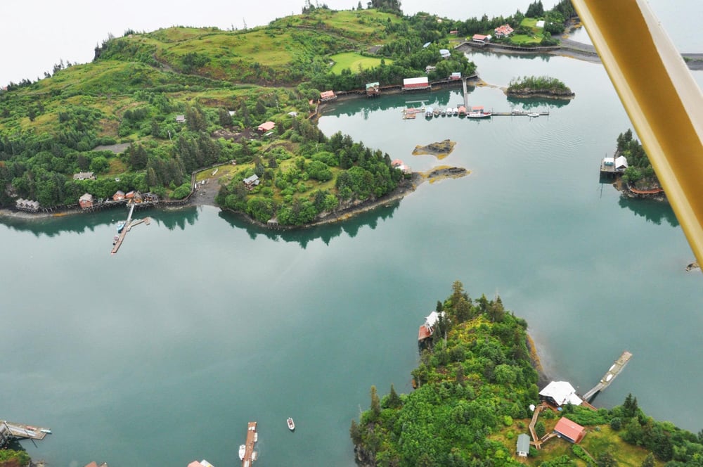 Halibut Cove Coffee House Cafes 100 Boardwalk Way, Halibut Cove, AK