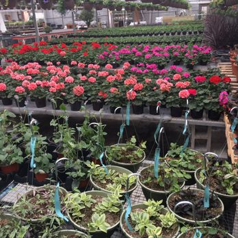 Parkview Gardens Florist And Greenhouses Nurseries Gardening Photo Of Parkview Gardens Florist And Greenhouses Saint Charles Mo United States