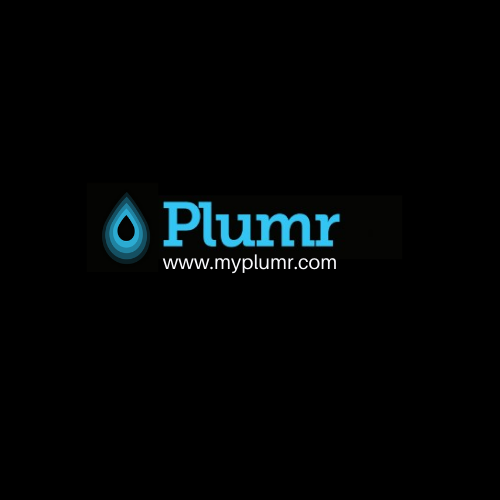 image of business Plumr