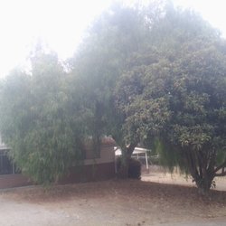 Purdy S Wood Products 20 Photos Tree Services Paso Robles Ca Photo Of Purdy S Wood Products Paso Robles Ca United States