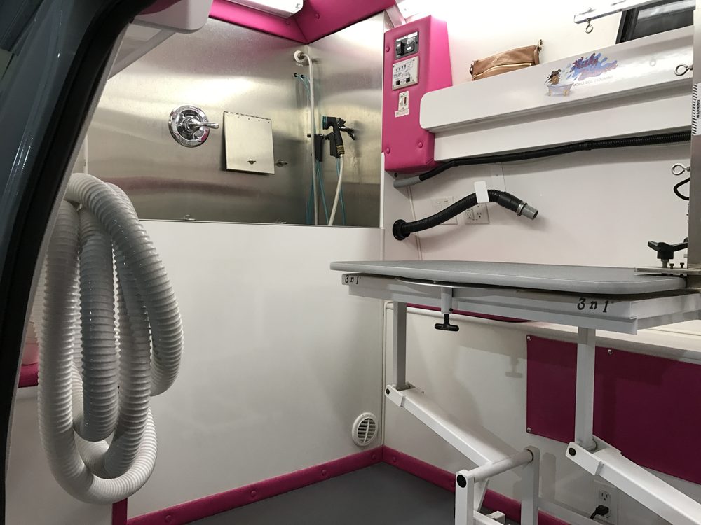 petland discounts fordham