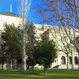 luis vives colegio