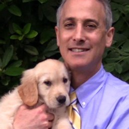 Phd dissertation image