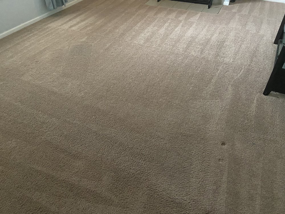 image of business Springer