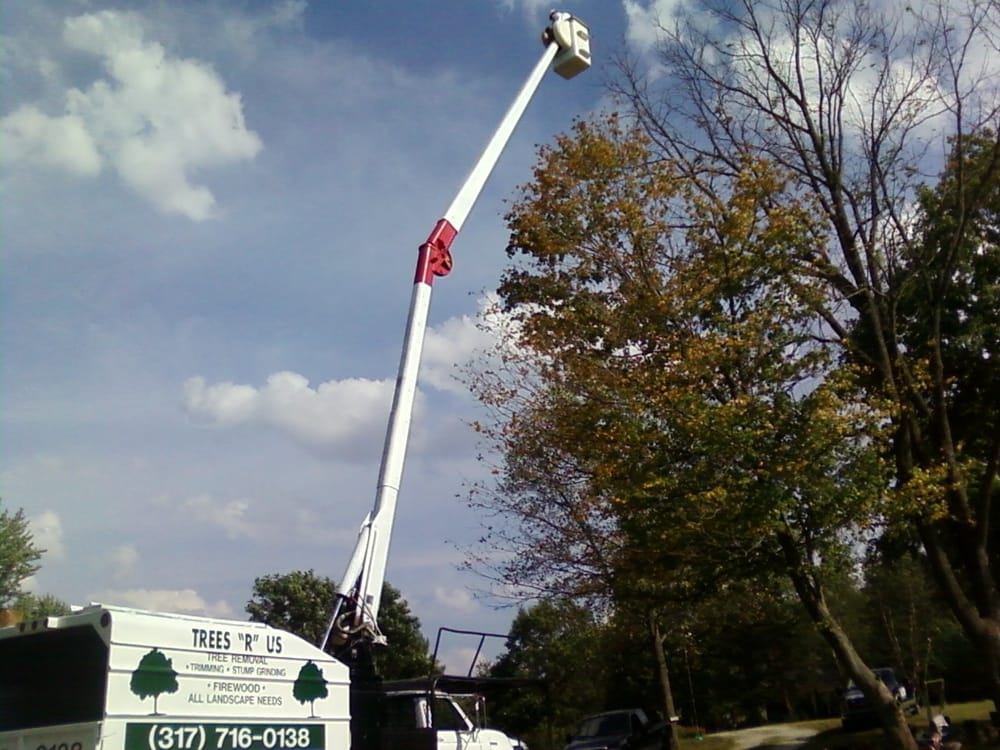 Trees R Us Tree Services 5470 N 600th E, Brownsburg, IN Phone