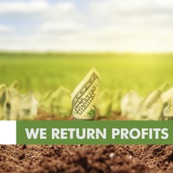 Where to get a quick cash loan image 1