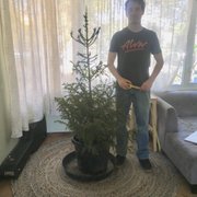 P O Of The Living Christmas Company Redondo Beach Ca United States P O Of The Living Christmas Company Redondo Beach Ca United States